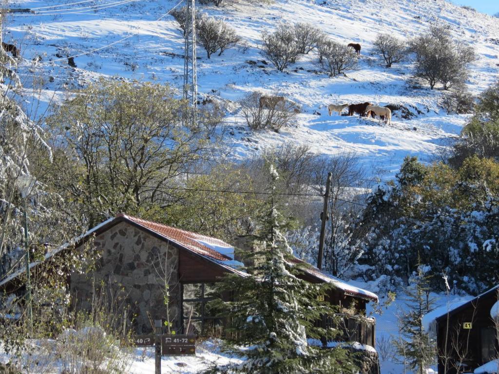 Merom Golan Resort Dış mekan fotoğraf