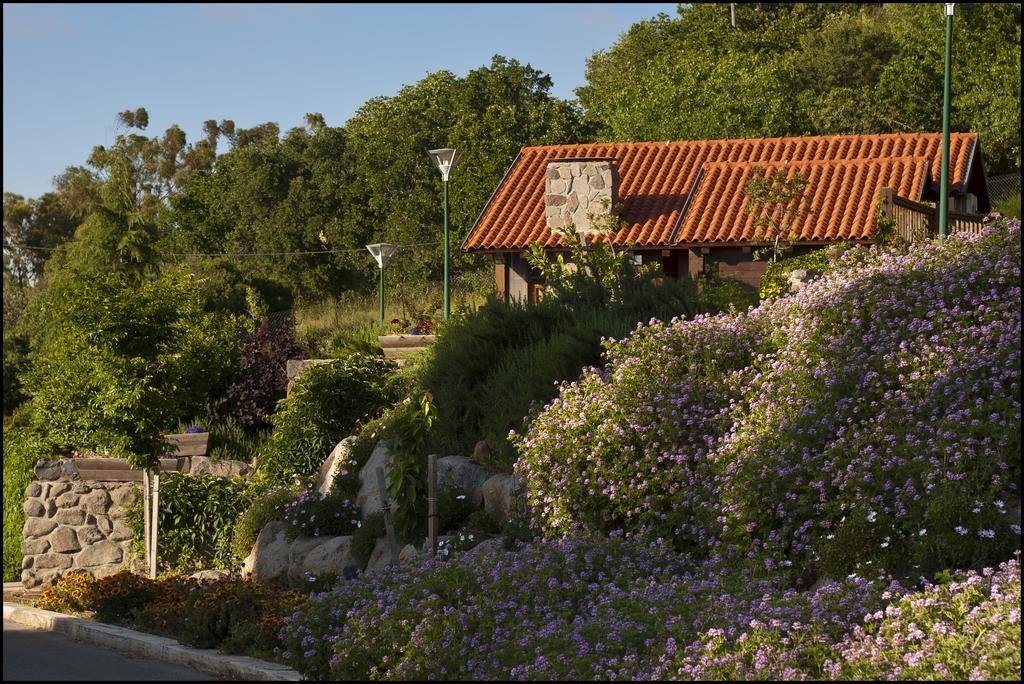 Merom Golan Resort Dış mekan fotoğraf